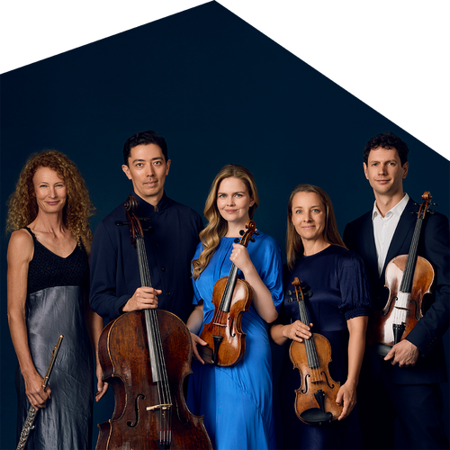 Shape 4_Elouan Quartet