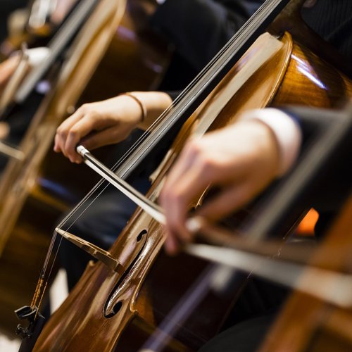 cellos